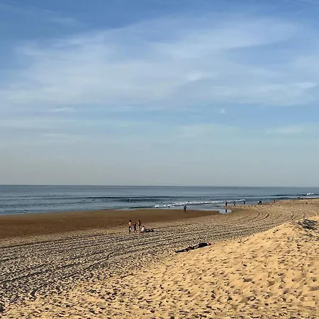 Appartement Loft Bourdaines And Wood *