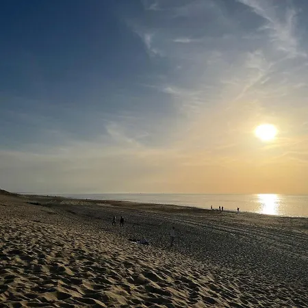 Apartment Loft Bourdaines And Wood *
