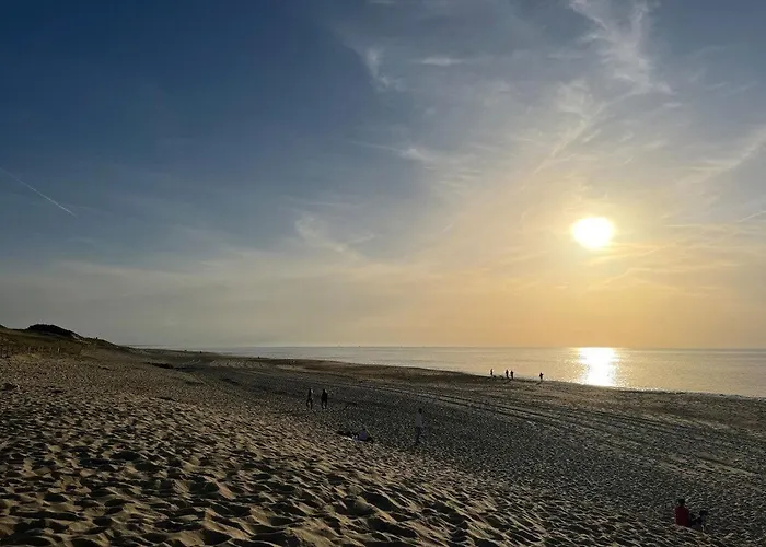Apartment Loft Bourdaines And Wood *